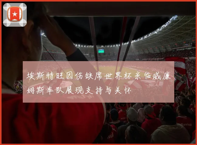 埃斯特旺因伤缺席世界杯亲临威廉姆斯车队展现支持与关怀